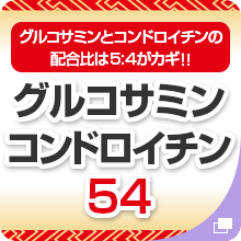 グルコサミンコンドロイチン54